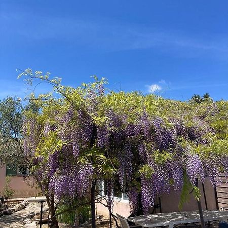 Le Clos Des Olivettes Sainte-Croix-de-Quintillargues Екстер'єр фото
