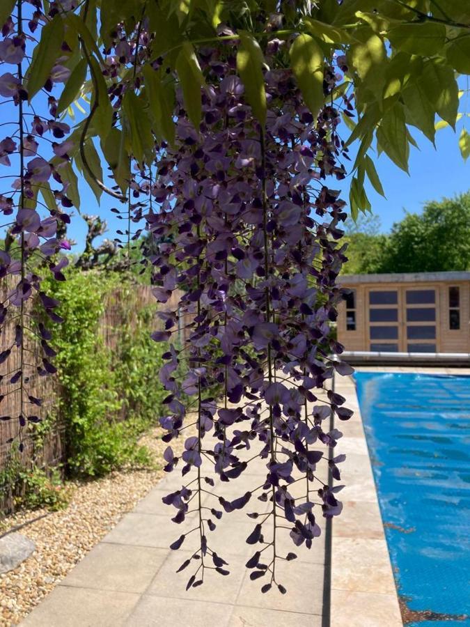 Le Clos Des Olivettes Sainte-Croix-de-Quintillargues Екстер'єр фото